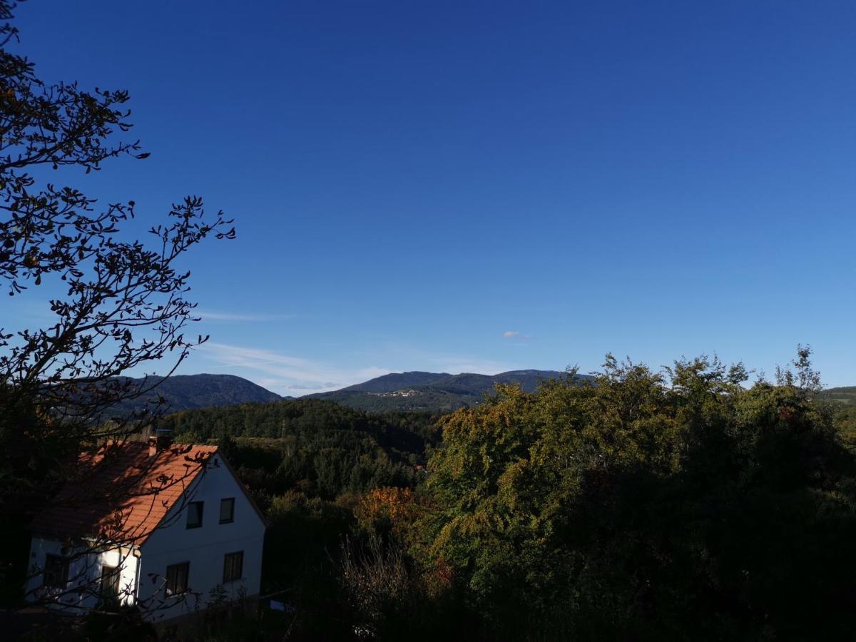 Apartment Am Rosenberg